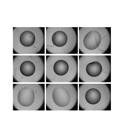 Crystallisation Data Toolkit Icon